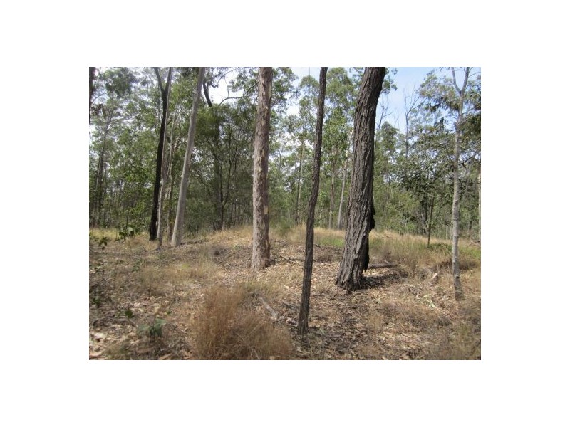 2577 Old Tenterfield Rd, Rappville NSW 2469