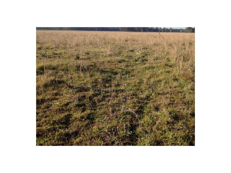 2577 Old Tenterfield Rd, Rappville NSW 2469