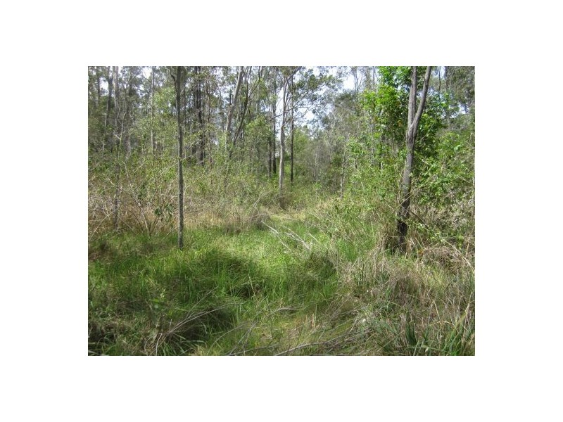 2577 Old Tenterfield Rd, Rappville NSW 2469