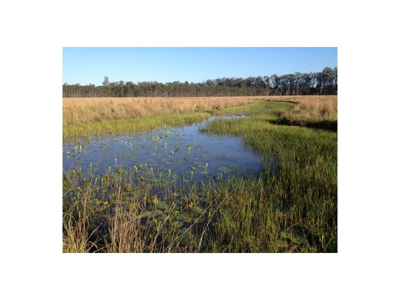 2577 Old Tenterfield Rd, Rappville NSW 2469