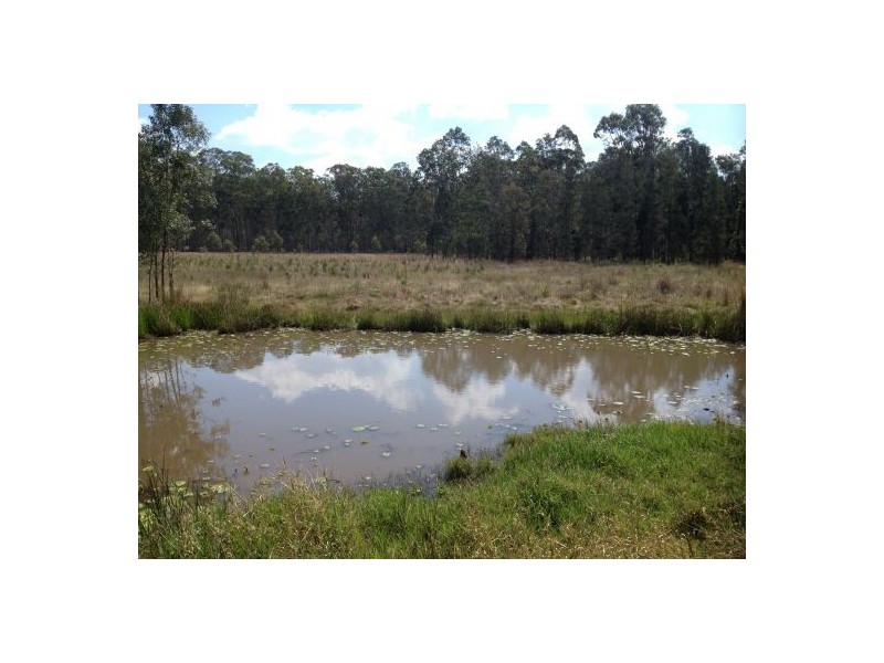 2577 Old Tenterfield Rd, Rappville NSW 2469