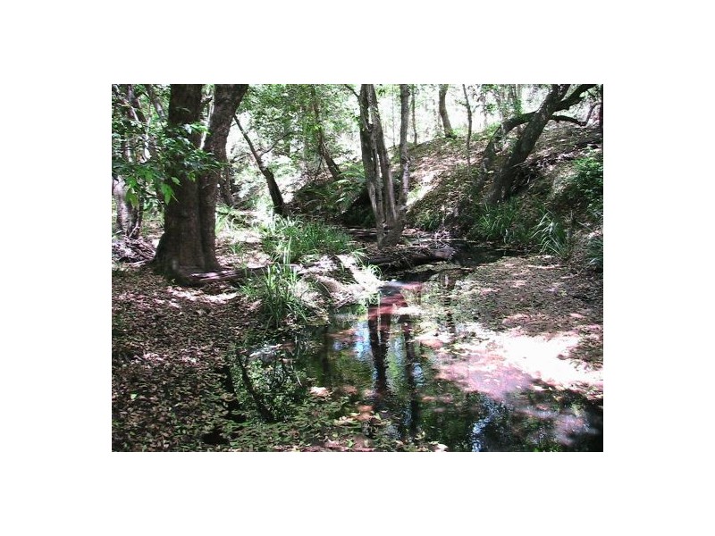 2577 Old Tenterfield Rd, Rappville NSW 2469