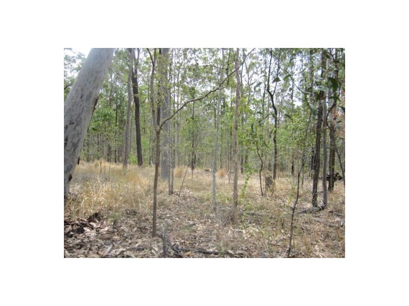 2577 Old Tenterfield Rd, Rappville NSW 2469