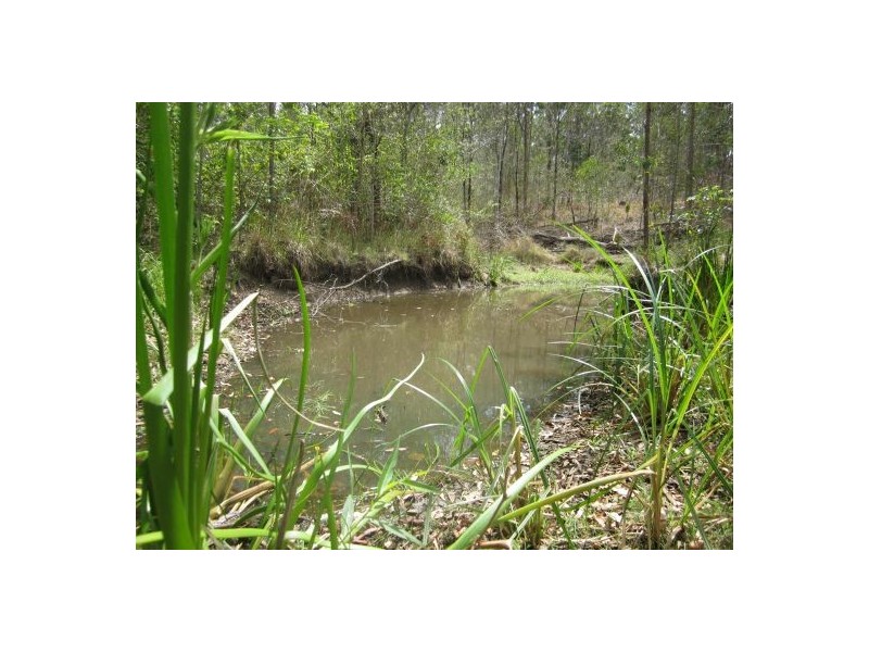 Lot 14 Seery Rd, Rappville NSW 2469