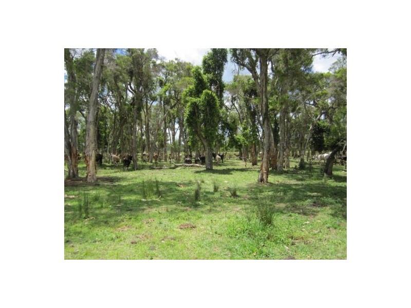 1600b Old Tenterfield Rd, Rappville NSW 2469