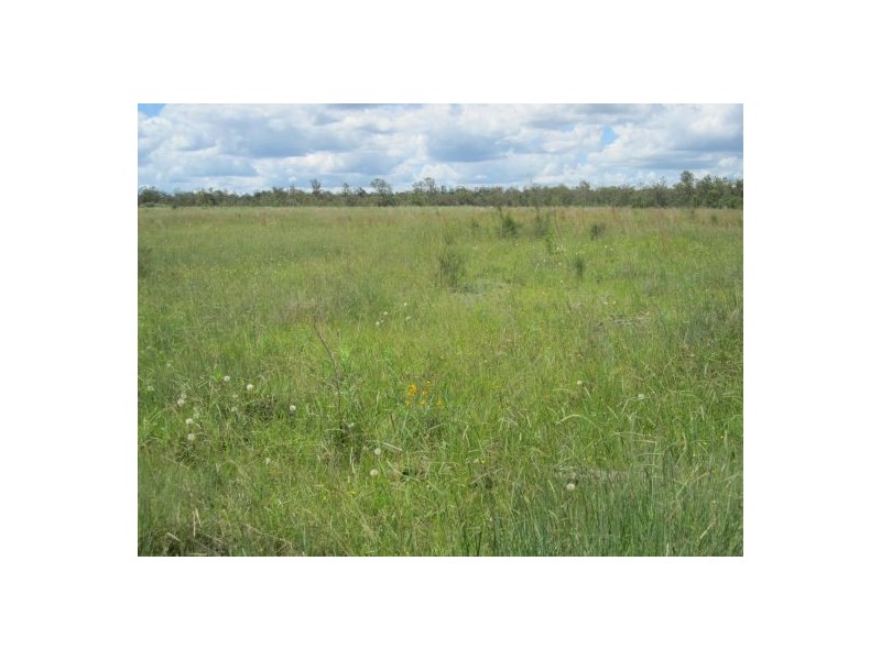 1600b Old Tenterfield Rd, Rappville NSW 2469