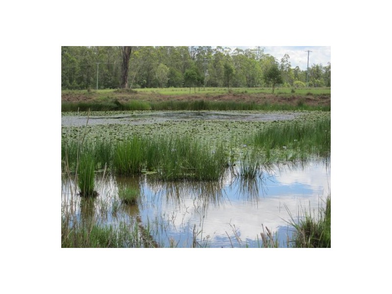 1600b Old Tenterfield Rd, Rappville NSW 2469