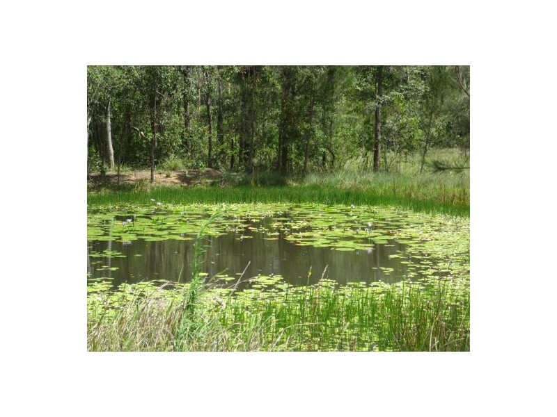 1600b Old Tenterfield Rd, Rappville NSW 2469