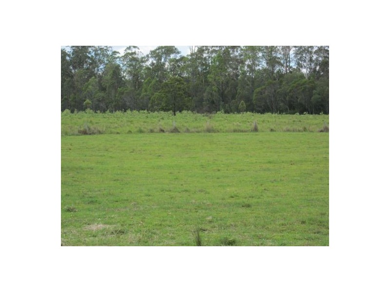 1600b Old Tenterfield Rd, Rappville NSW 2469