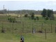 5351 Summerland Way, Whiporie NSW 2469