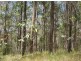Lot 51 Mud Flat Rd, Drake NSW 2469