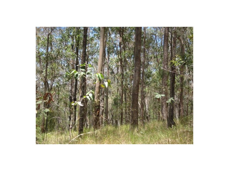 Lot 51 Mud Flat Rd, Drake NSW 2469