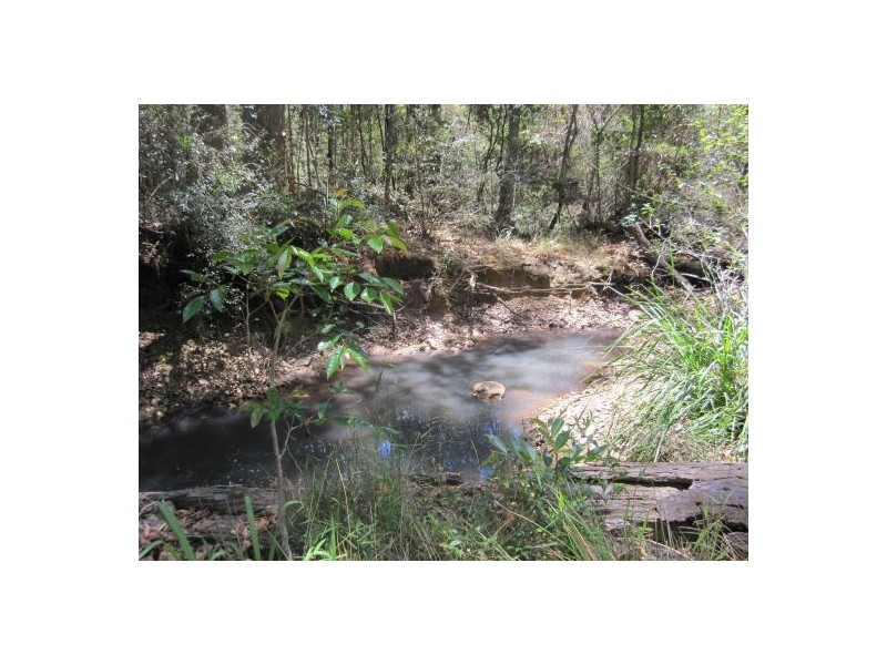 Lot 51 Mud Flat Rd, Drake NSW 2469