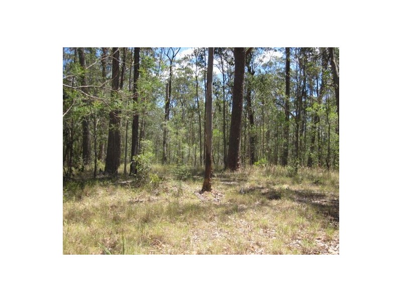 Lot 51 Mud Flat Rd, Drake NSW 2469