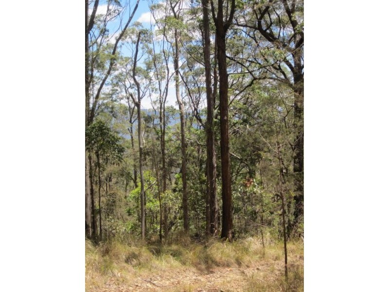 Lot 51 Mud Flat Rd, Drake NSW 2469