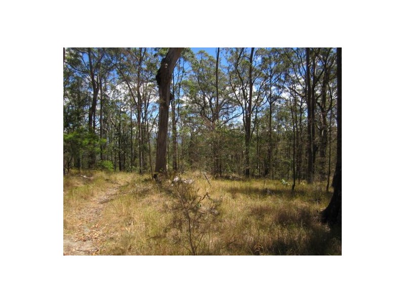 Lot 51 Mud Flat Rd, Drake NSW 2469