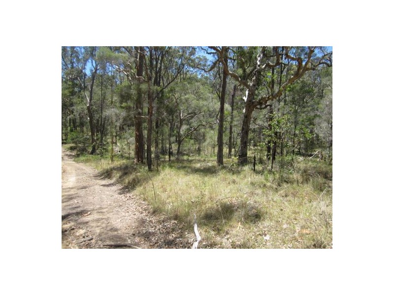 Lot 51 Mud Flat Rd, Drake NSW 2469
