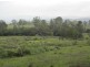 624 Tabulam Rd, Tabulam NSW 2469