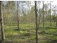 624 Tabulam Rd, Tabulam NSW 2469