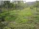 624 Tabulam Rd, Tabulam NSW 2469