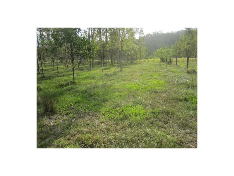 624 Tabulam Rd, Tabulam NSW 2469
