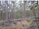 624 Tabulam Rd, Tabulam NSW 2469