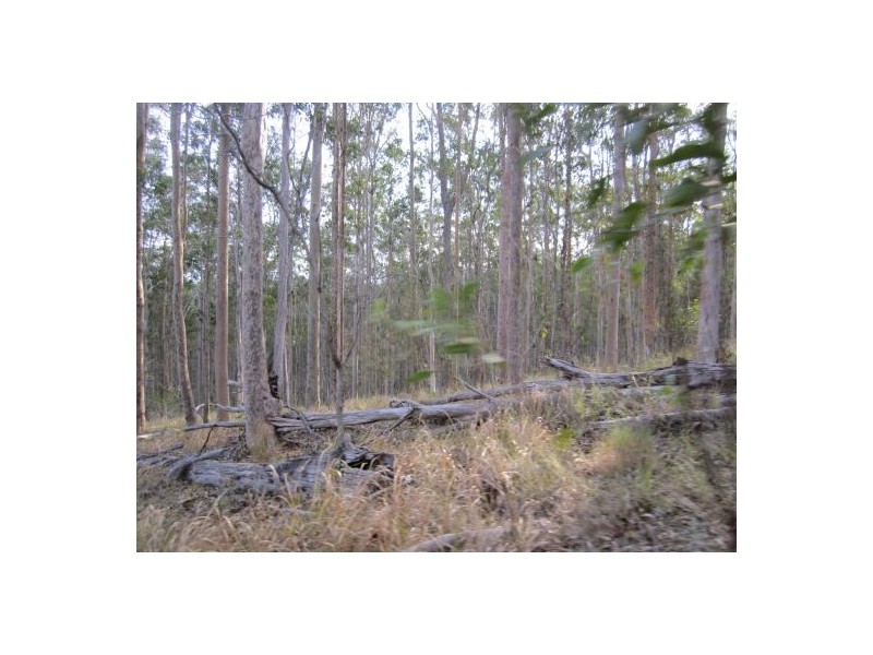 624 Tabulam Rd, Tabulam NSW 2469