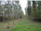 624 Tabulam Rd, Tabulam NSW 2469