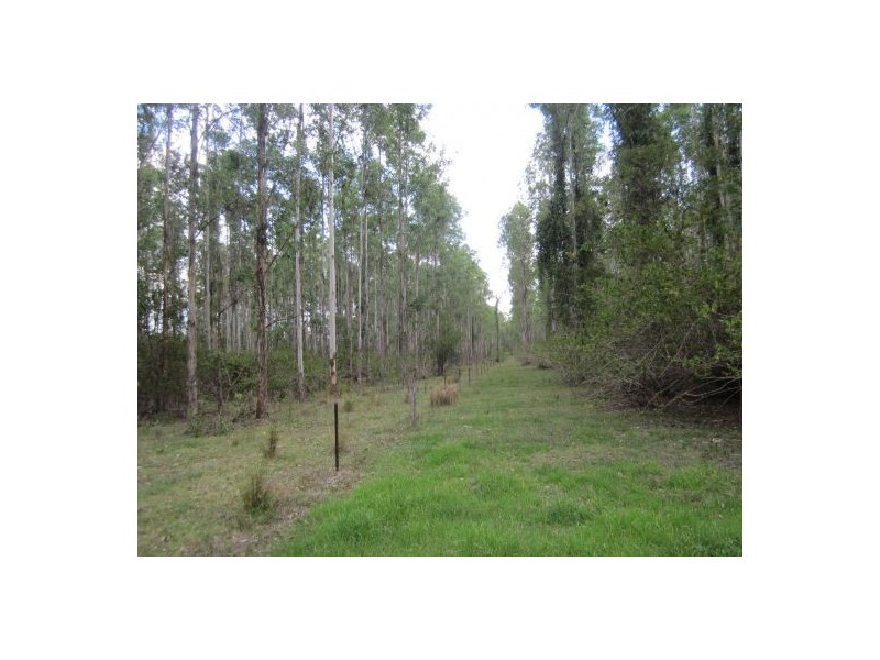 624 Tabulam Rd, Tabulam NSW 2469