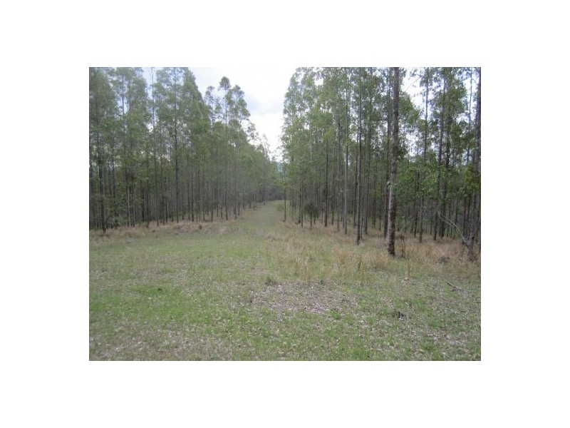 624 Tabulam Rd, Tabulam NSW 2469