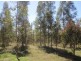 624 Tabulam Rd, Tabulam NSW 2469