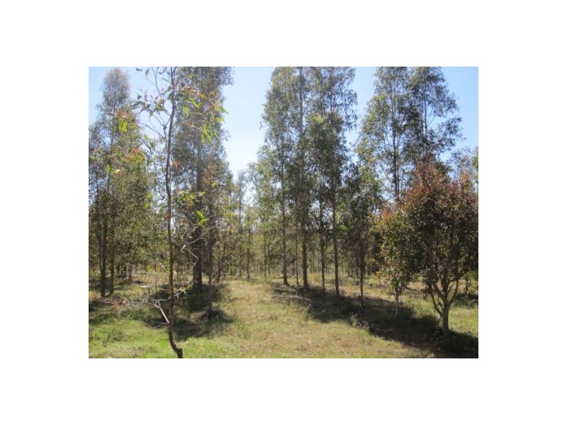 624 Tabulam Rd, Tabulam NSW 2469