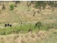 624 Tabulam Rd, Tabulam NSW 2469