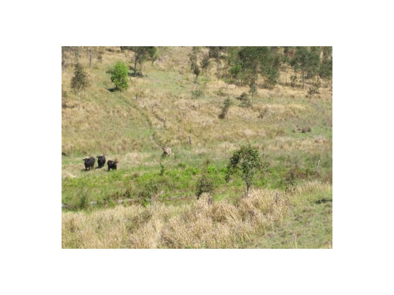 624 Tabulam Rd, Tabulam NSW 2469