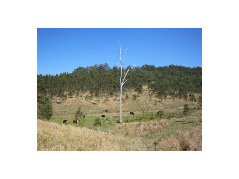 624 Tabulam Rd, Tabulam NSW 2469