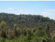 624 Tabulam Rd, Tabulam NSW 2469