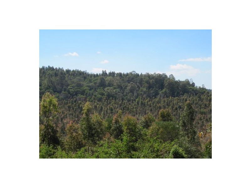 624 Tabulam Rd, Tabulam NSW 2469