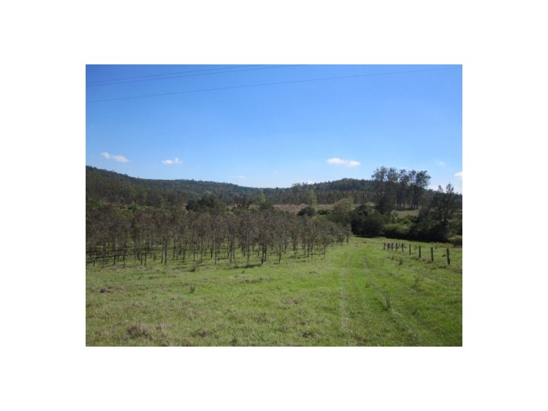 624 Tabulam Rd, Tabulam NSW 2469