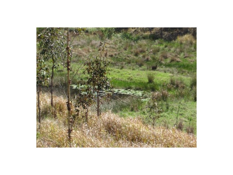 624 Tabulam Rd, Tabulam NSW 2469