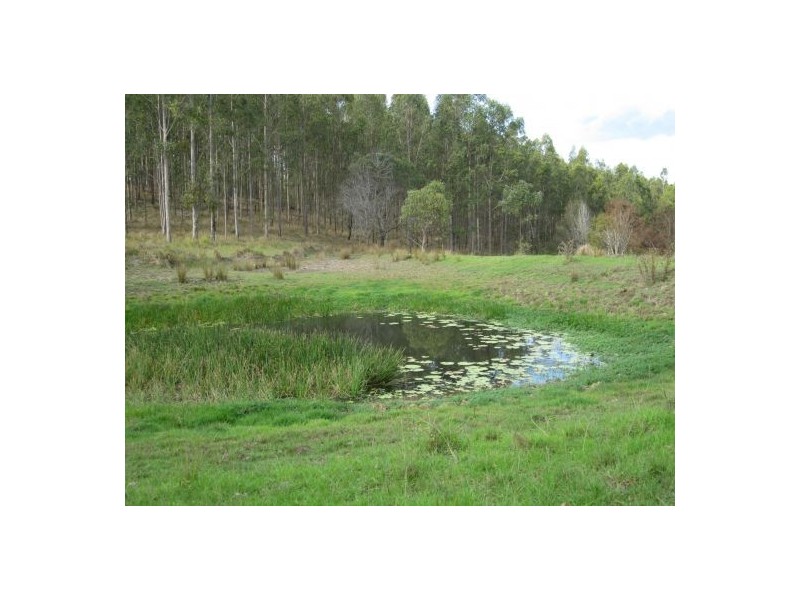 624 Tabulam Rd, Tabulam NSW 2469