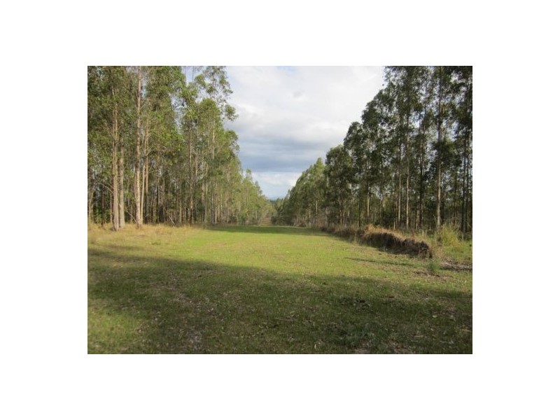624 Tabulam Rd, Tabulam NSW 2469