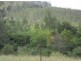 624 Tabulam Rd, Tabulam NSW 2469
