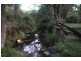 Kyogle NSW 2474