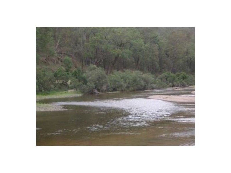 Lot 53 Mud Flat Rd, Drake NSW 2469