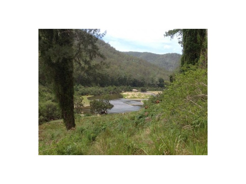 Lot 53 Mud Flat Rd, Drake NSW 2469