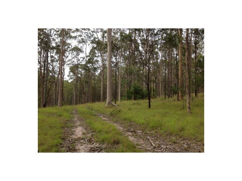 Lot 53 Mud Flat Rd, Drake NSW 2469