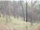 Lot 53 Mud Flat Rd, Drake NSW 2469