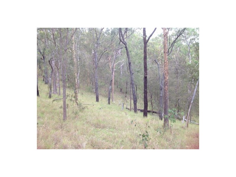 Lot 53 Mud Flat Rd, Drake NSW 2469