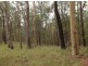 Lot 53 Mud Flat Rd, Drake NSW 2469