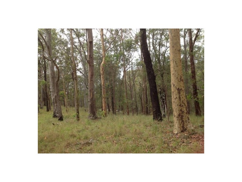 Lot 53 Mud Flat Rd, Drake NSW 2469